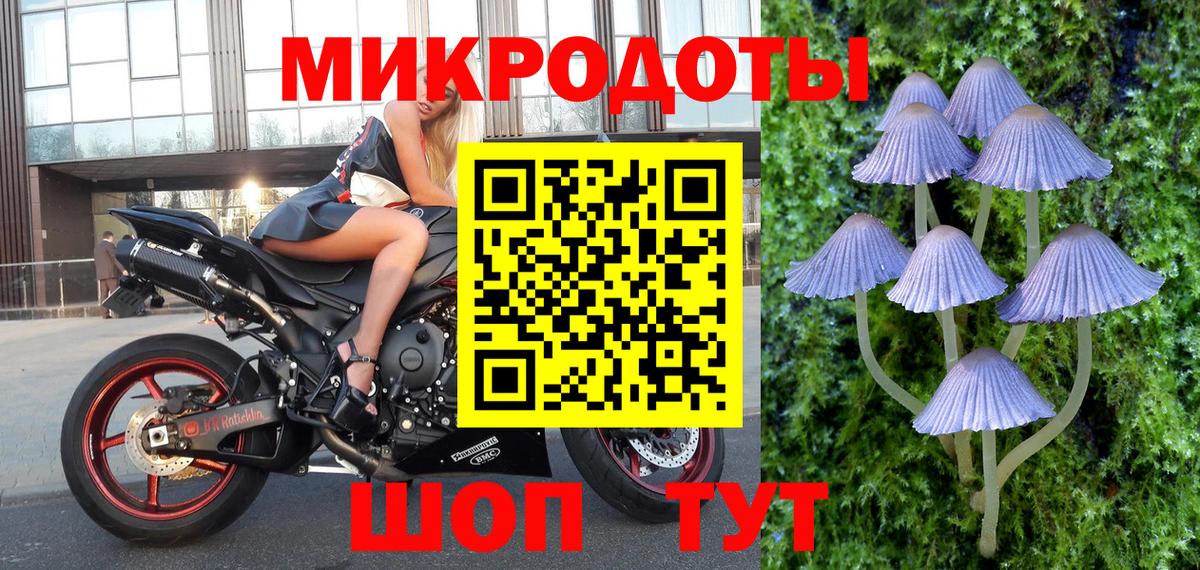 Псилоцибиновые грибы мицелий  Псилоцибиновые грибы GOLDEN TEACHER  Вход с VPN  Орехово-Зуево 